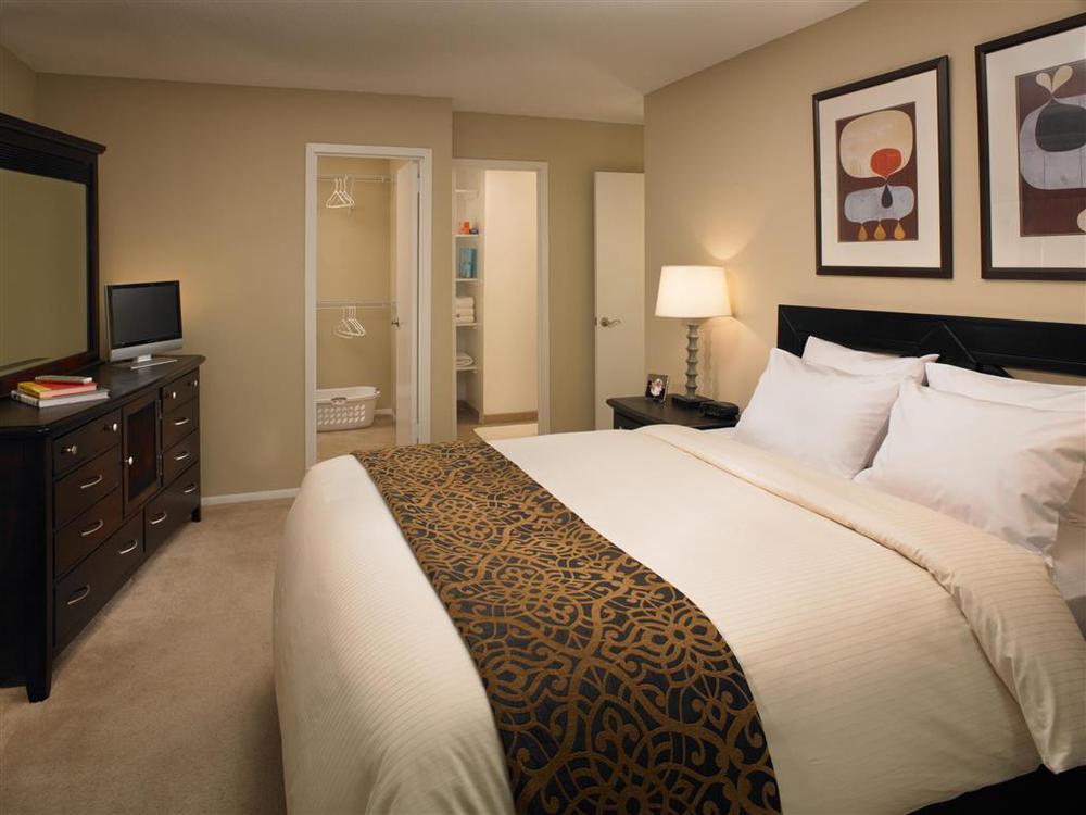 Mainsail Suites Hotel & Conference Center Tampa Cameră foto